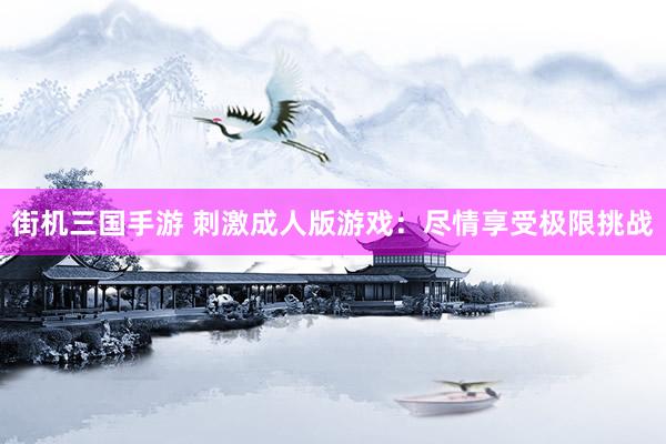 街机三国手游 刺激成人版游戏：尽情享受极限挑战