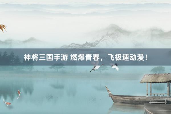 神将三国手游 燃爆青春，飞极速动漫！
