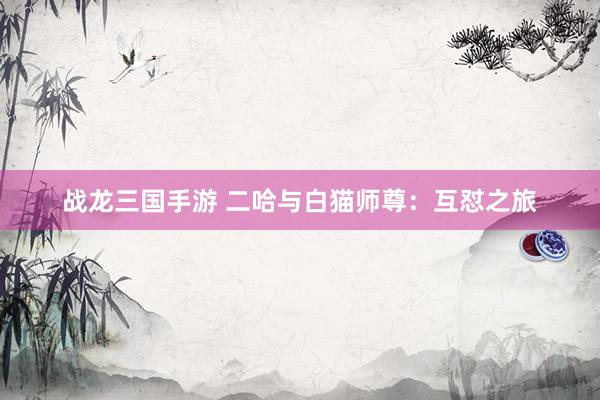 战龙三国手游 二哈与白猫师尊：互怼之旅