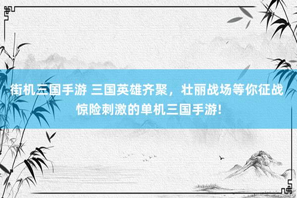 街机三国手游 三国英雄齐聚，壮丽战场等你征战 惊险刺激的单机三国手游!