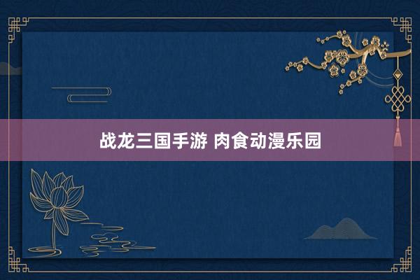 战龙三国手游 肉食动漫乐园