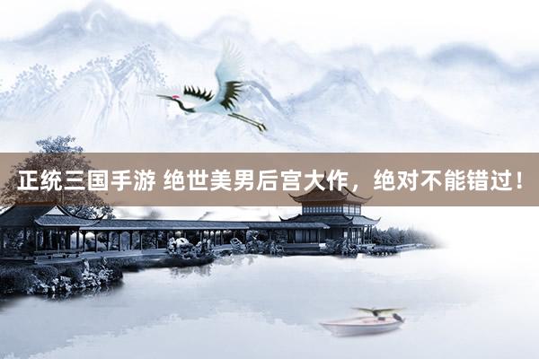 正统三国手游 绝世美男后宫大作，绝对不能错过！