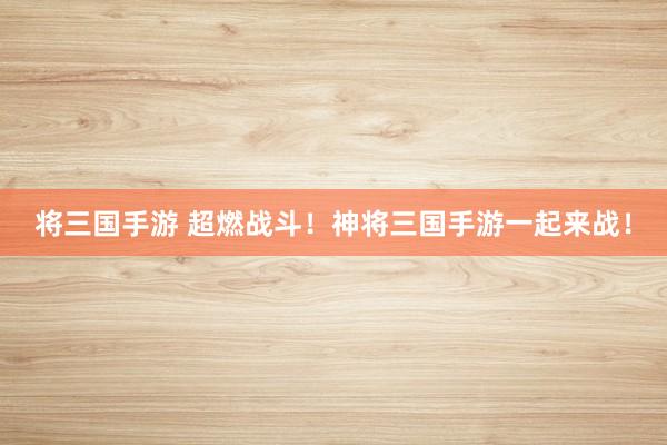 将三国手游 超燃战斗！神将三国手游一起来战！