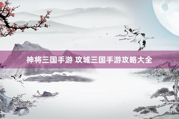神将三国手游 攻城三国手游攻略大全