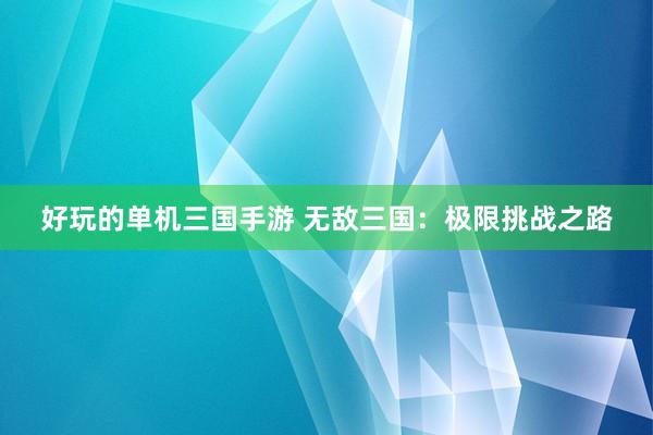 好玩的单机三国手游 无敌三国：极限挑战之路