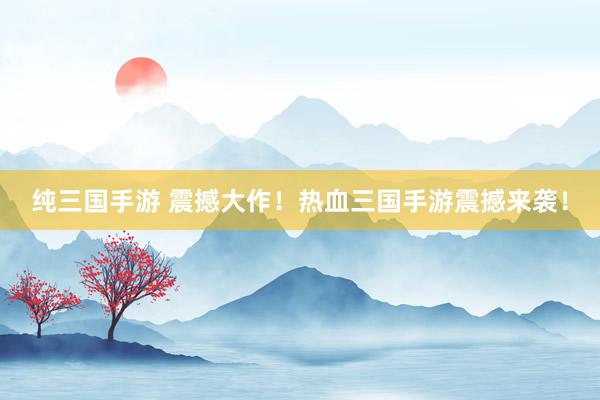 纯三国手游 震撼大作！热血三国手游震撼来袭！