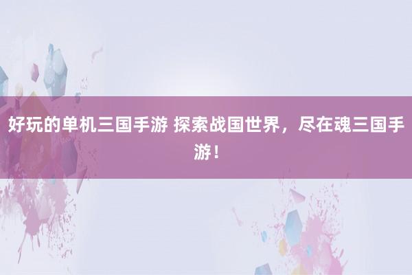 好玩的单机三国手游 探索战国世界，尽在魂三国手游！