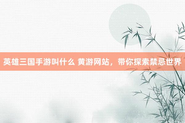 英雄三国手游叫什么 黄游网站，带你探索禁忌世界